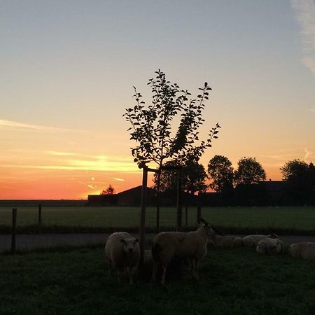 Boerengastenverblijf De Kromme Rijn Cothen Eksteriør bilde